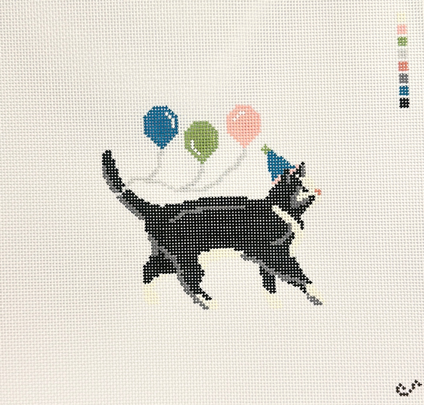 Party Tuxedo Cat
